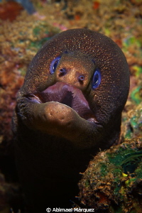 Moray by Abimael Márquez 